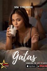 gatas-2026-34f1